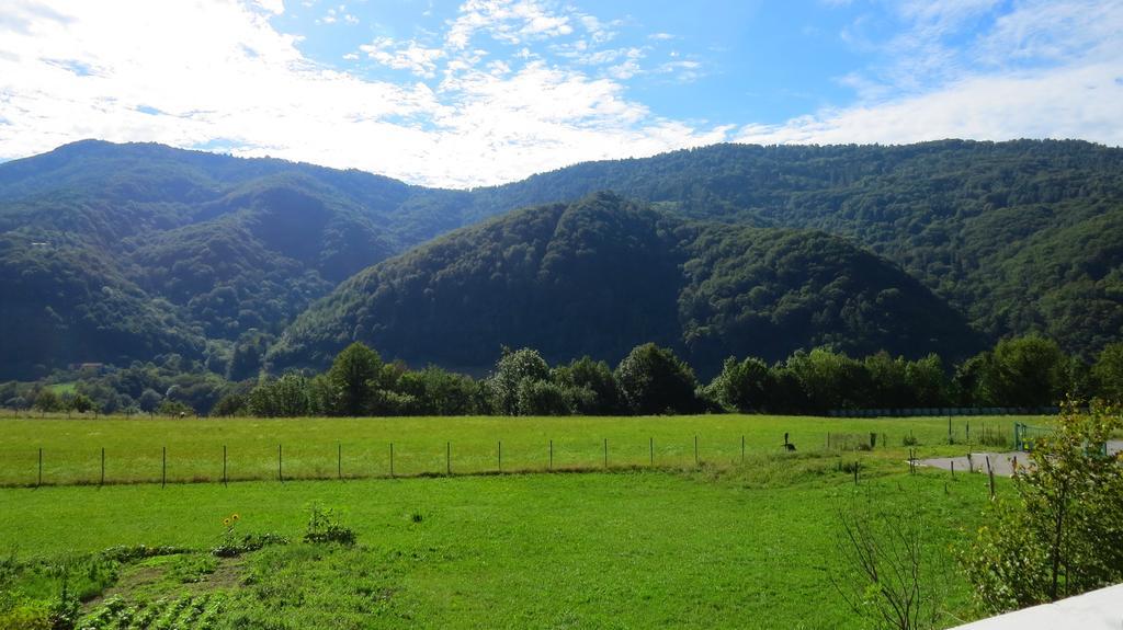 Apartma Patricija - Big Apartment For 6 Tolmin Luaran gambar